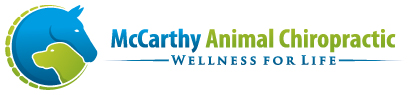 Mccarthy animal chiropractic Mccarthy animal chiropractic